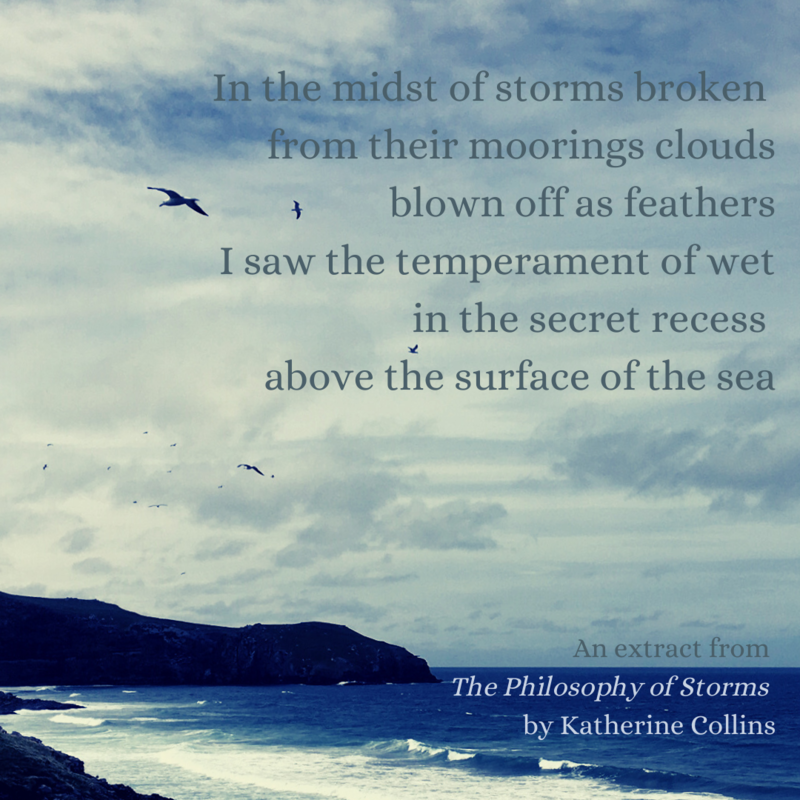 Extract from The Philosophy of Storms by Katherine Collins